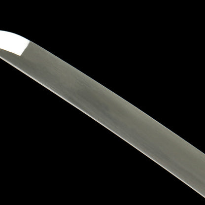 "Argent Edge" Katana - 28.3" 1065 Carbon Steel | Frost Textured Fittings | Minimalist Saya | Essential Samurai Sword,Functional samurai sword