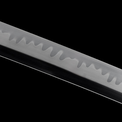 "Black & White Guardians" Japanese T10 Steel Katana, Clay-Tempered Blade with Lacquered Scabbard (103cm Overall), Non-Sharpened Collectible Sword for Display & Gift