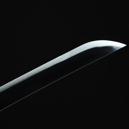 Purple Doctor Anime Katana - Popular Series Inspired Collectible, 1045 Steel with Special Treatment, 105cm Overall & 1600g Weight,Hand-forged katana